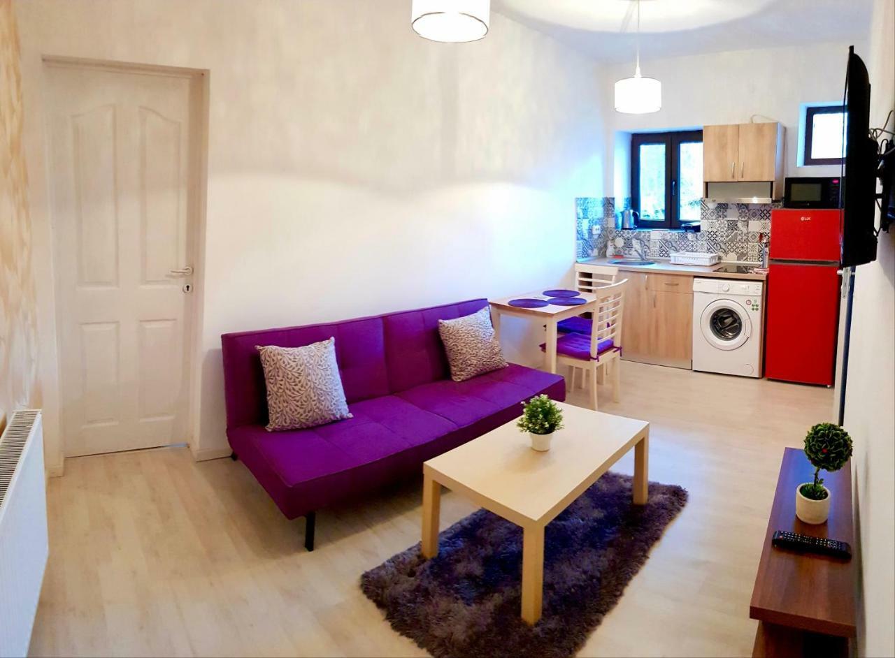 Cismigiu Grand Residence Bukurešť Exteriér fotografie